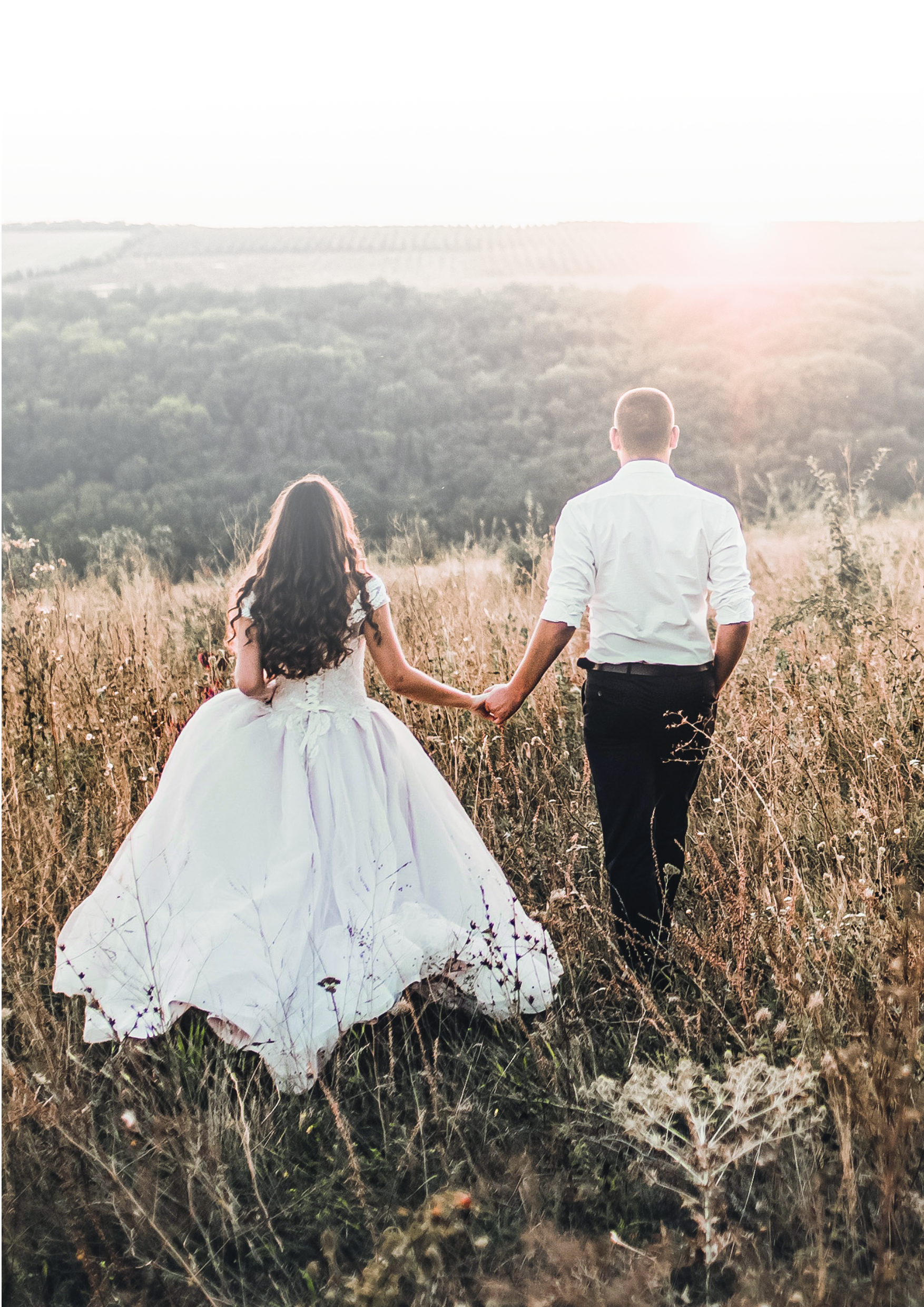 Weeding Planner Bezirk Güssing